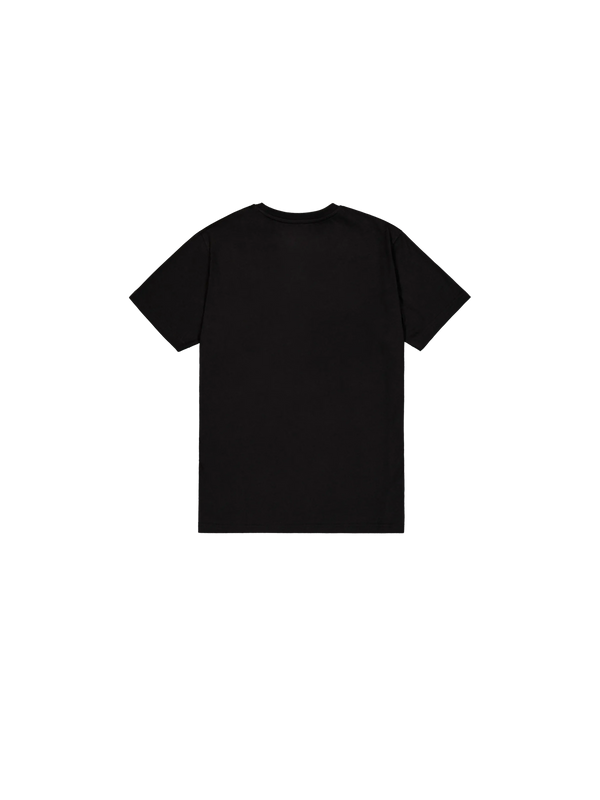 ALPHA INDUSTRIES Basic T-Shirt Effect Print | Black