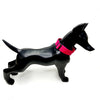 ❌ SALE ❌ ALPHA INDUSTRIES Basic Dog-Tag Hundehalsband | Pink